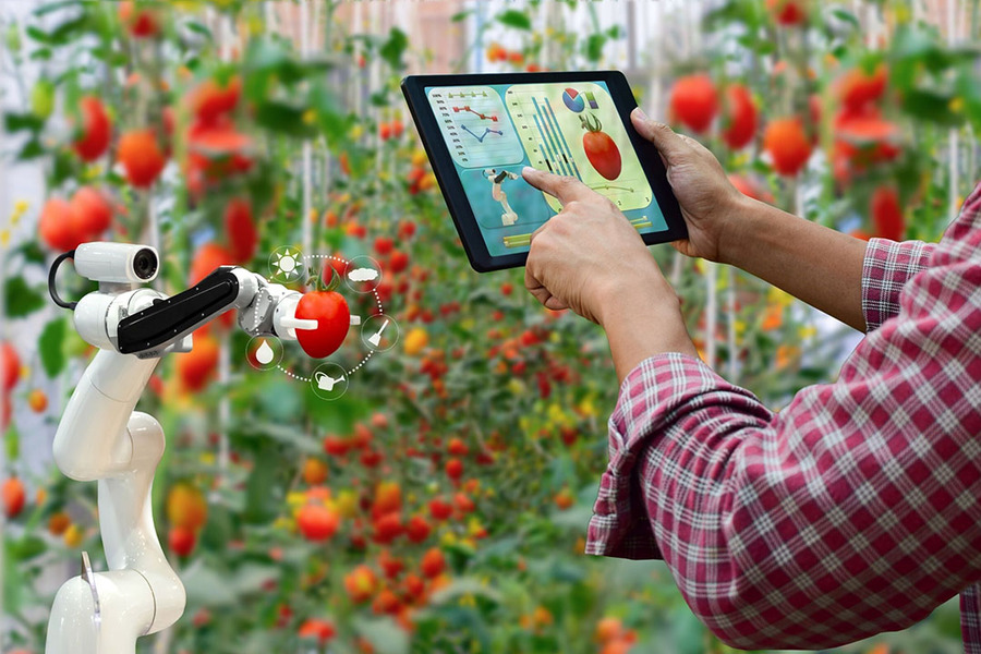 AI Driven Quality Monitoring in Food and Agriculture