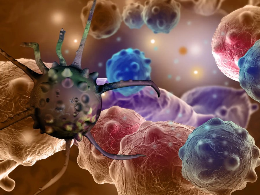 Nanomedicines in Cancer therapy