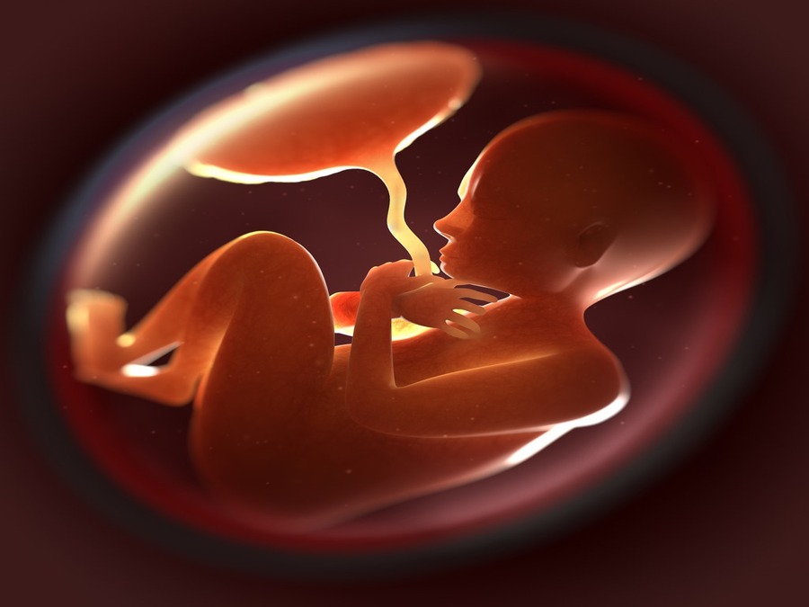 Womb Watch: The Next Frontier In Maternal Monitoring With Electrohysterography
